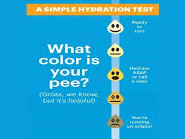 urine and hydration