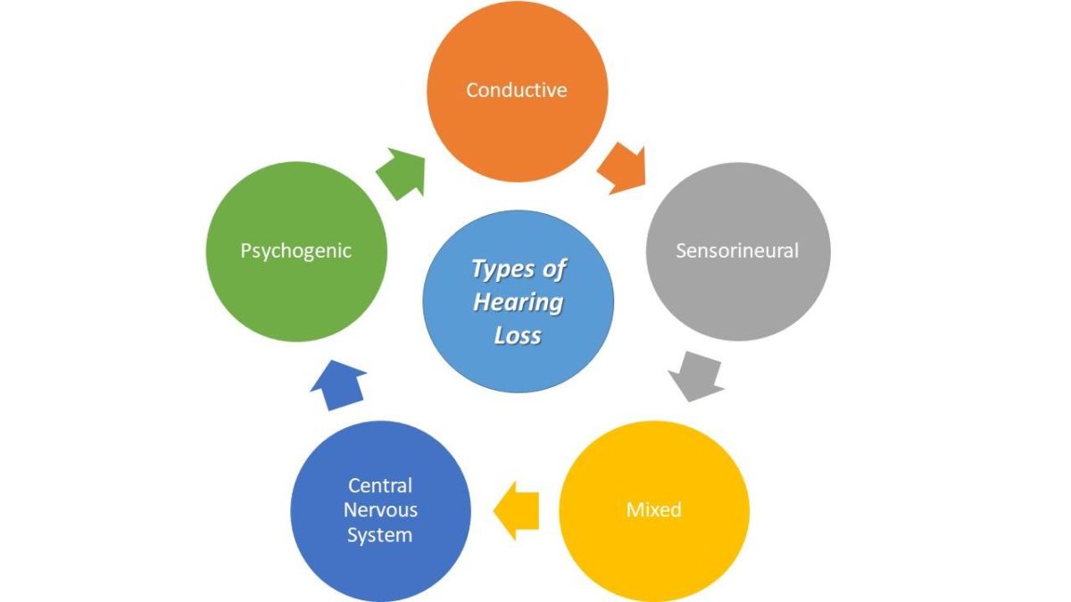 Types Of Hearing Loss - Cornett's Corner